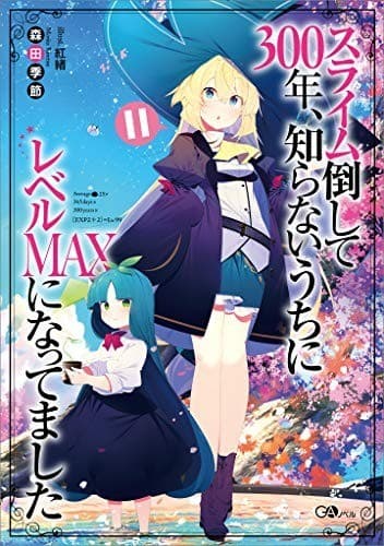 スライム倒して300年、知らないうちにレベルMAXになってました11