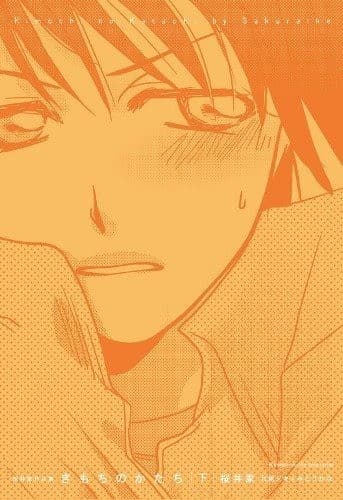 きもちのかたち 桜井家作品集下巻