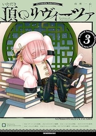 頂のリヴィーツァ(3)