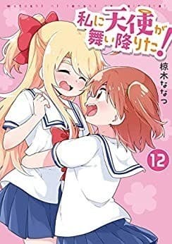 私に天使が舞い降りた!: 12