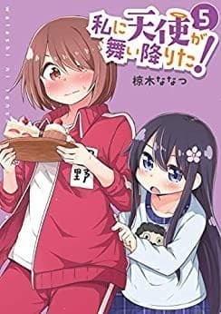 私に天使が舞い降りた!: 5