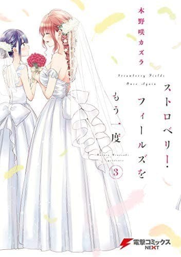 ストロベリー・フィールズをもう一度(3)