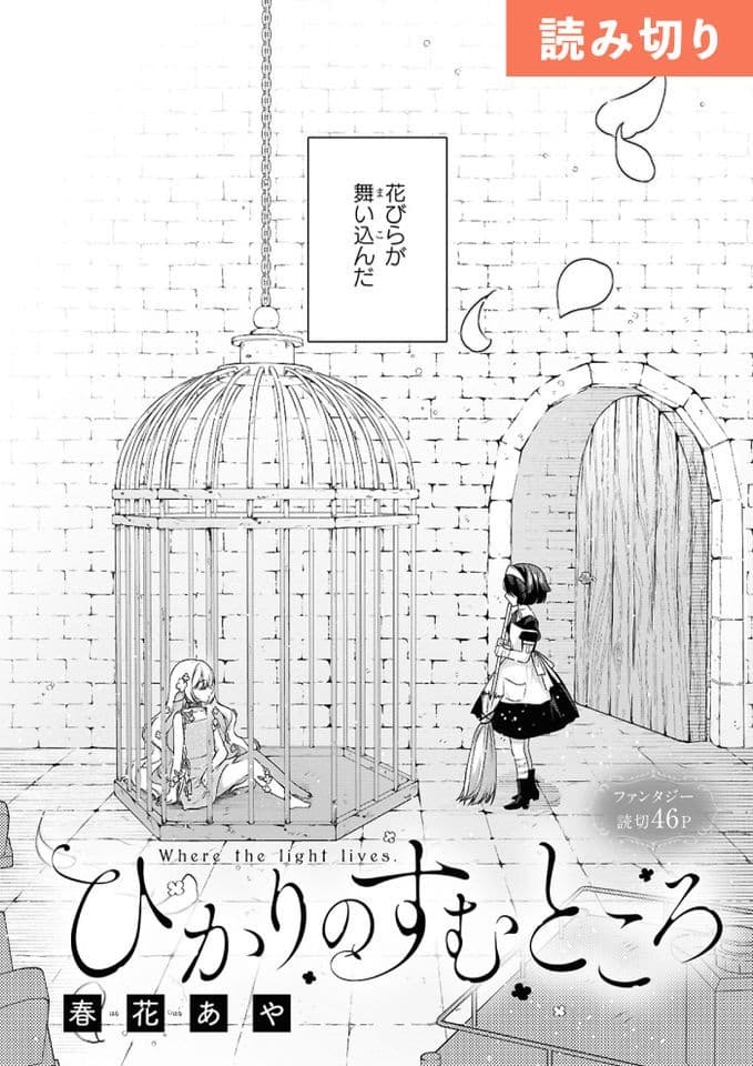 ひかりのすむところ