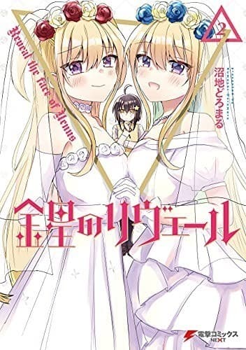 金星のリヴェール2