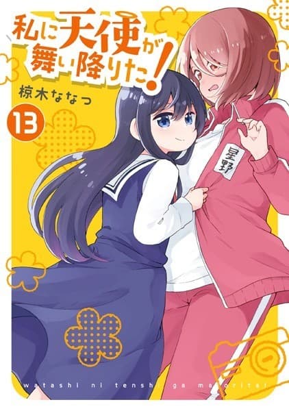 私に天使が舞い降りた!: 13
