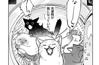 ランドリーキャット